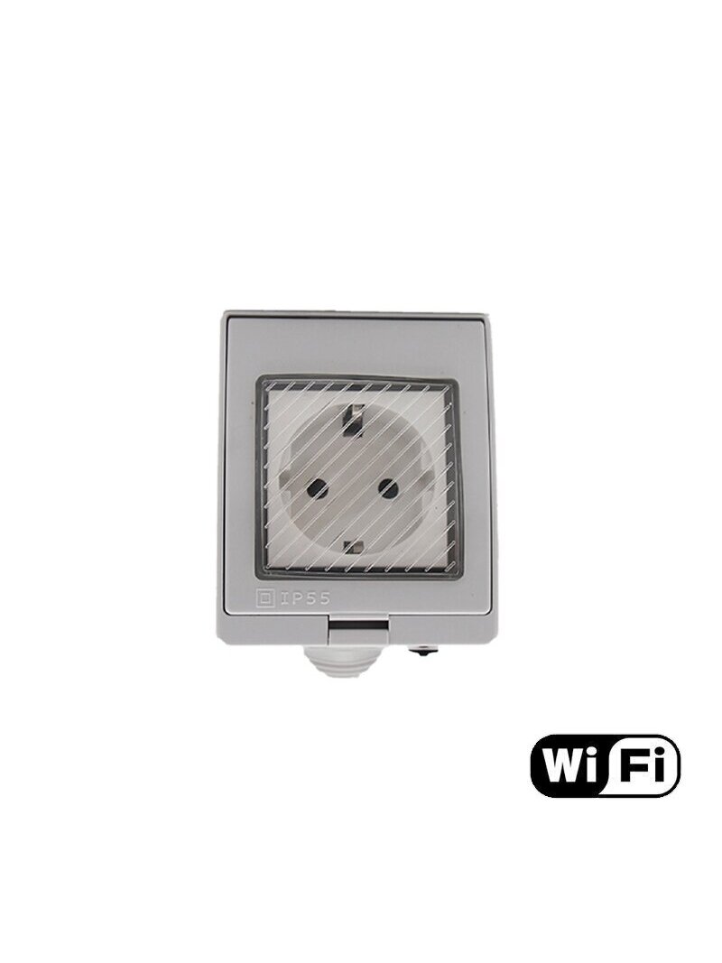 Vandeniui atsparus kištukinis lizdas Feelspot FS-WSK02WE IP55 WiFi, Tuya