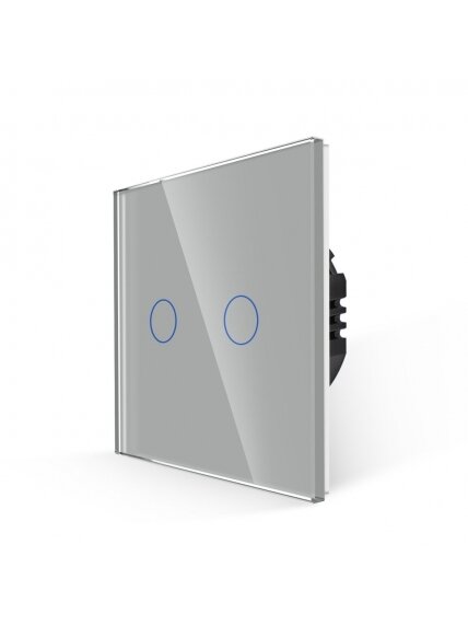 WiFi dvipolis sensorinis jungiklis Feelspot, pilkas 600W 1 WiFi dvipolis sensorinis jungiklis Feelspot, pilkas 600W 1