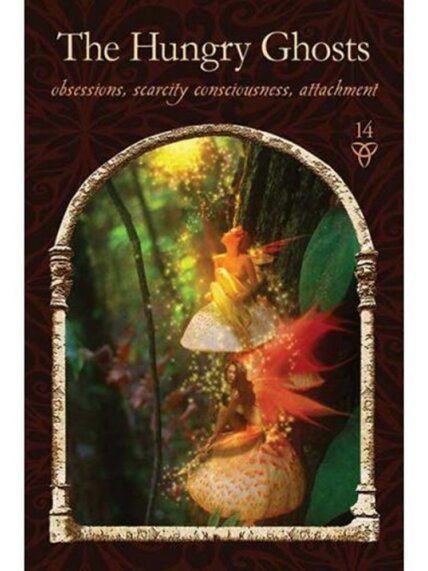 Wisdom of the Hidden Realms Oracle kortos Hay House 4