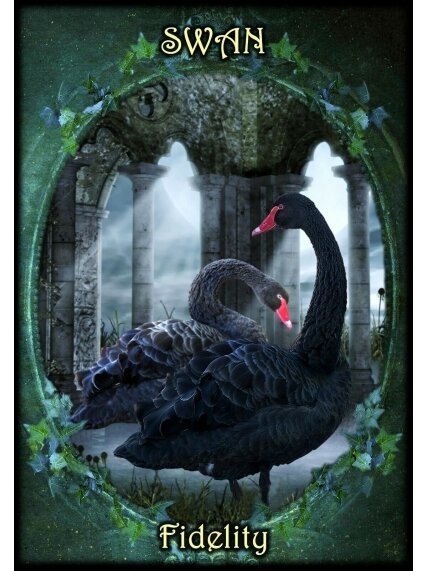 Witches Familiars Oracle Kortos Solarus 2