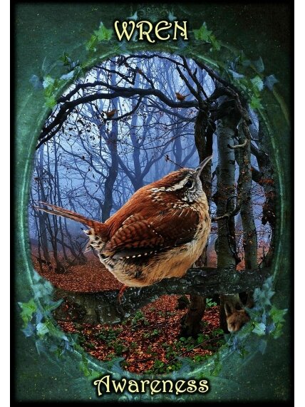 Witches Familiars Oracle Kortos Solarus 3