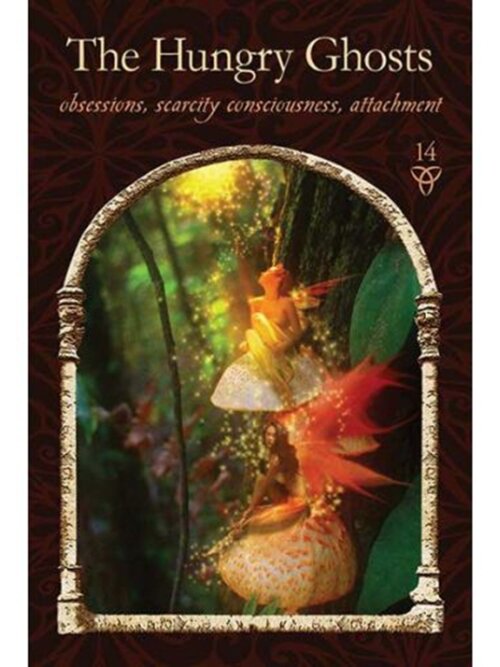 Wisdom of the Hidden Realms Oracle kortos Hay House 4